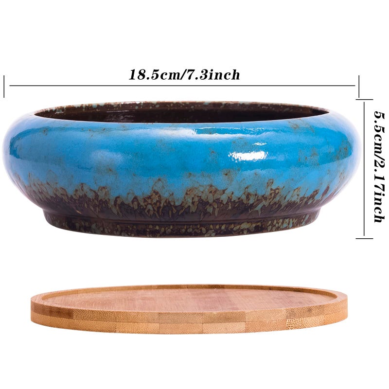 ARTKETTY Succulent Pots - 7.3 Inch Large Succulent Planters with Drainage Ceramic Bonsai Pots with Bamboo Tray, Shallow Planters for Indoor Cactus Plants Decorative Flower Plant Container - Image 3